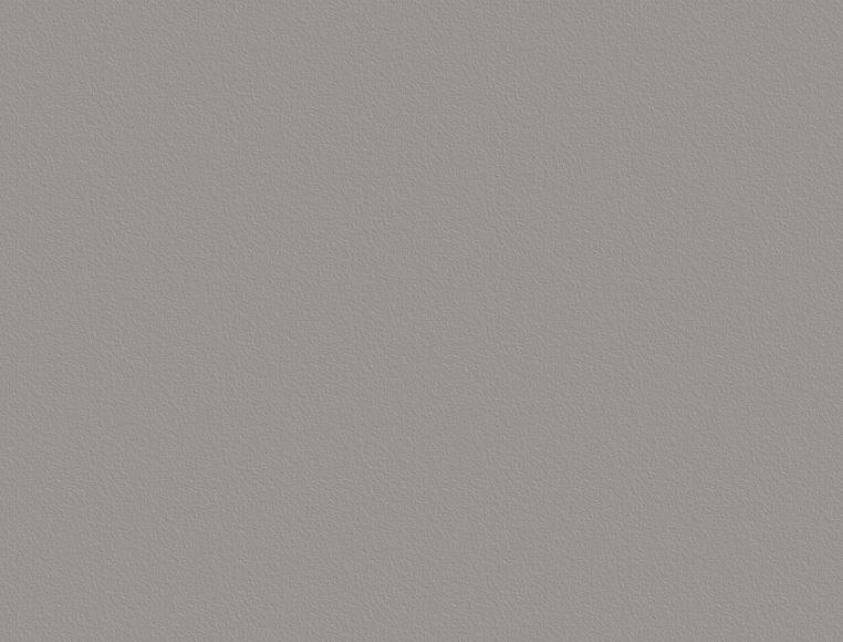 Silver Grey U765 ST9